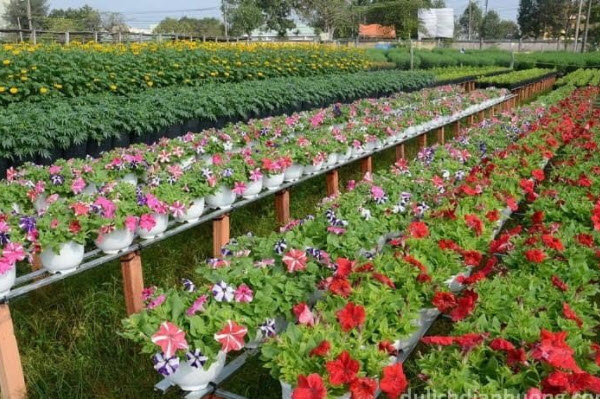 Từ Quận Nam Từ Liêm đến điểm du lịch Làng hoa Ngọc Hà​ - Quận Ba Đình